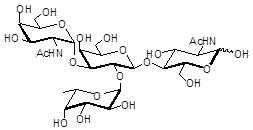 Blood group A antigen tetraose type 2