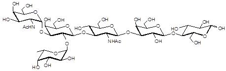 Blood group A antigen hexaose type 1 / PII