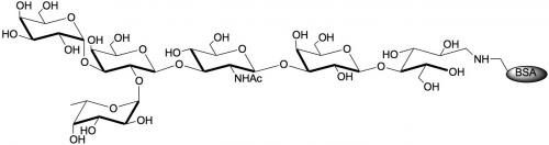 B血型抗原六糖1型-生物素