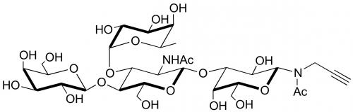 Lewis X抗原四糖-N-乙酰基-丙炔