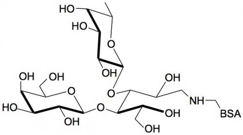 3-巖藻乳糖-BSA