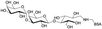 異球抗原三糖-BSA