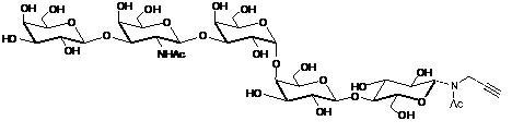 Gb5-N-Acetyl-Propargyl