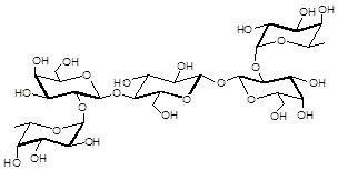 二巖藻糖五糖