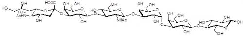 唾液酸iGb5類似物1型