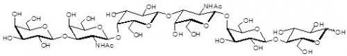 GalGalNac-aGM1 神經節苷脂類糖