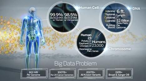 Genome Res：科學家開發出能對單細胞進行大規模分析的新型工具—BigSCale