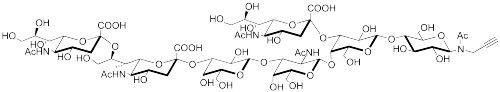 GT1a神經節苷脂類糖-β-N-乙酰基-丙炔