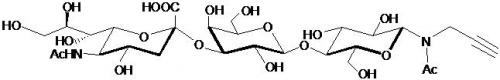 GM3神經(jīng)節(jié)苷脂類糖-β-N-乙酰基丙炔