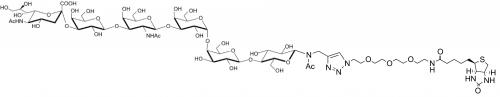 SSEA-4六糖-β-N-乙酰基-空間構型3-生物素