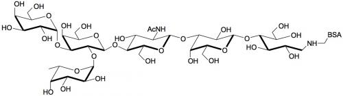 B血型抗原六糖2型-BSA