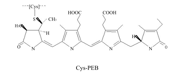 藻紅蛋白(R-PE)結(jié)構(gòu)式