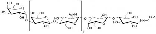 Galili抗原十一糖-BSA