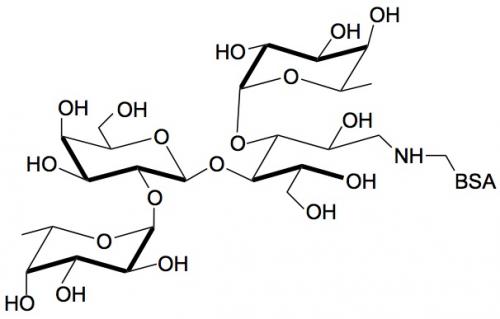 乳糖二巖藻糖四糖-BSA