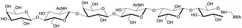 對-乳糖-N-新六糖-BSA