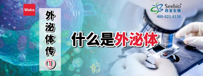 內(nèi)毒素檢測耗材
