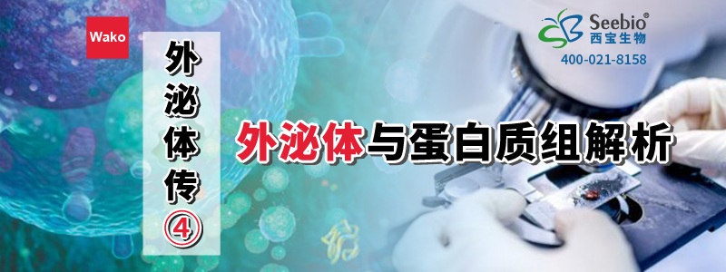 內毒素檢測耗材 內毒素檢測耗材