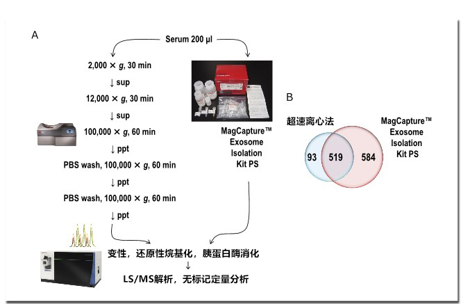 提取純度對外泌體蛋白質組分析的影響 提取純度對外泌體蛋白質組分析的影響