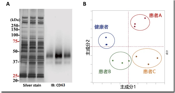 血清外泌體的比較糖鏈分析圖