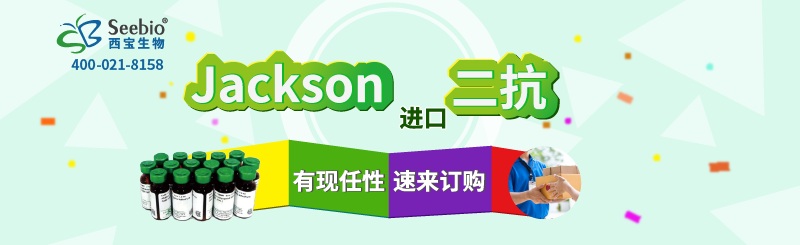 Jackson 二抗 有“現(xiàn)”任性 速來(lái)訂購(gòu)