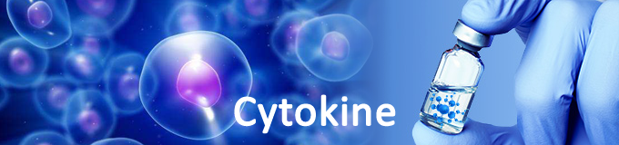 細胞因子 cytokine