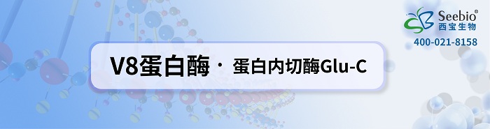 <font color='red'>蛋白質結</font>構序列分析用V8蛋白酶 * 蛋白內切酶Glu-C