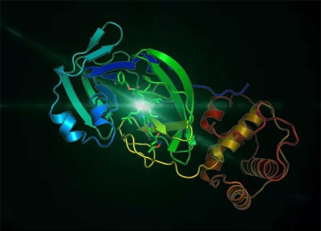 SARS-CoV-2病毒的電鏡照片 SARS-CoV-2病毒的電鏡照片