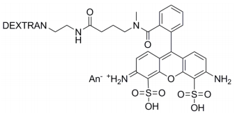 Atto488-dextran的結構式