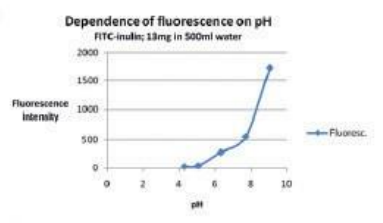 FITC標記菊粉的熒光相關性