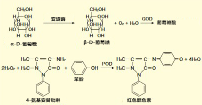 LabAssay™ 葡萄糖檢測試劑盒的檢測原理