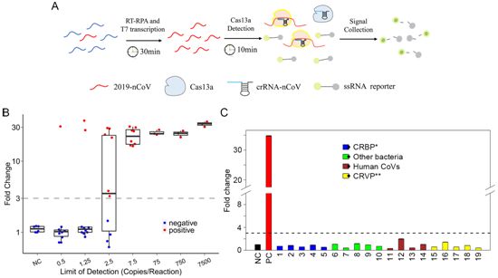 PLoS Pathog：我國科學家開發出一種快速、準確、低成本的COVID-19測試方法