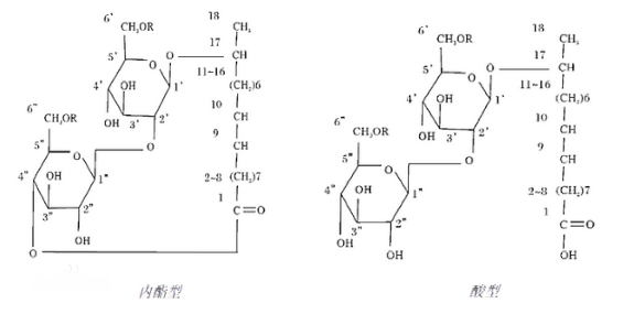 槐糖脂(sophorolipid)結構式