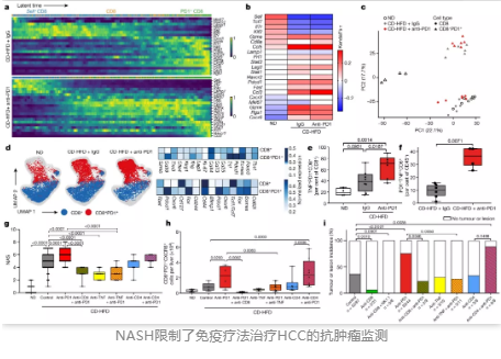 NASH限制了免疫療法治療HCC的抗腫瘤監測