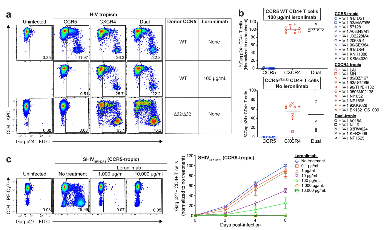 試驗(yàn)結(jié)果顯示：Leronlimab 阻斷了CCR5在體外的傳播