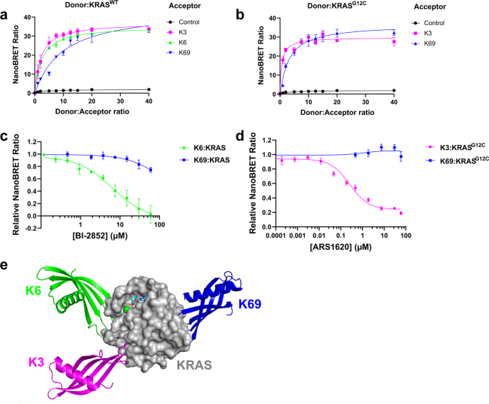 KRAS NanoBRET 可用于識別結合在 SI/SII 或 SII/α3 口袋中的小分子