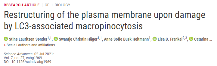 DOI：10.1126/sciadv.abg1969