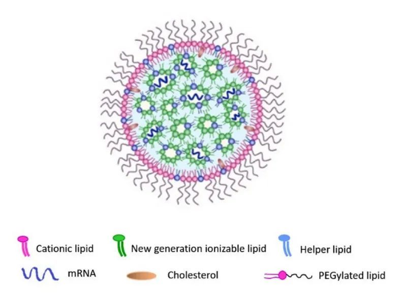 納米顆粒脂質(zhì)體(Lipid nanoparticles，LNPs)