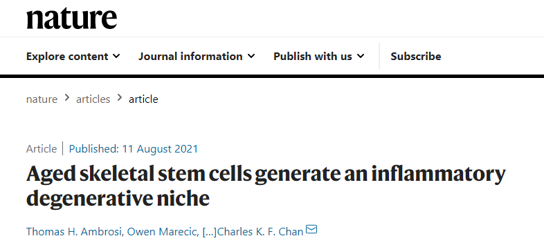 《Nature》重磅！衰老的骨骼干細胞會延緩骨折愈合,并促進炎癥發展加速全身衰老！