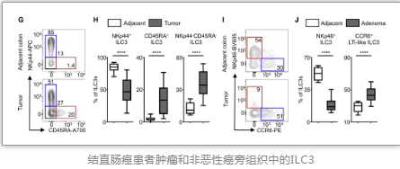 小心了！Cell揭示缺少這種淋巴細胞可保護癌細胞、抵抗腫瘤治療！