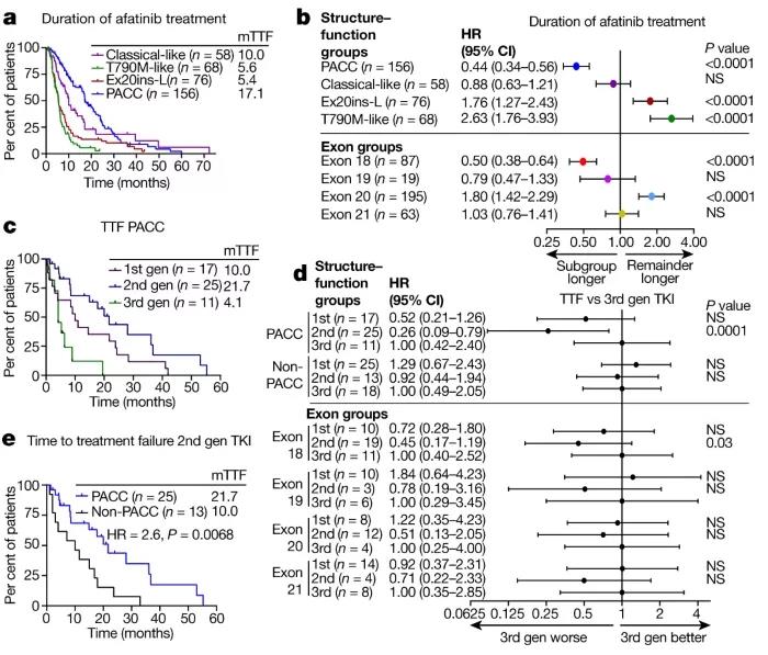 a：基于結構-功能分組時，使用afatinib治療PACC突變相較于其他亞群具有更持久的藥效； b：基于結構的分組方法，afatinib治療有效的人數基于外顯子方法的兩倍； cd：基于結構-功能分組時，使用第二代TKIs治療PACC突變相較于第一、三代具有更好的患者預后 e：基于結構-功能分組時，使用第二代TKIs治療PACC突變相較于非PACC患者具有更好的患者預后