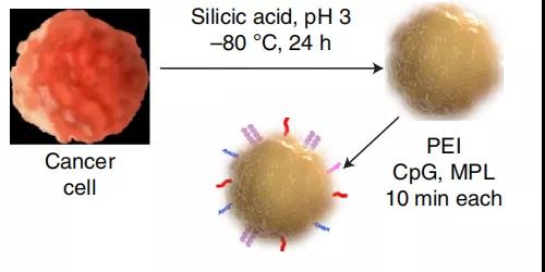癌細胞低溫硅化和PAMP表面功能化