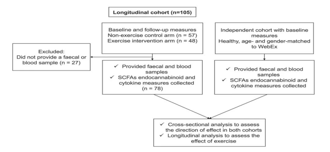 內源性大麻素與腸道微生物組組成、SCFA 和炎性細胞因子的關聯使用兩個年齡和性別匹配的獨立隊列進行橫斷面和縱向評估