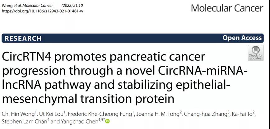 研究成果（圖源: Molecular Cancer）