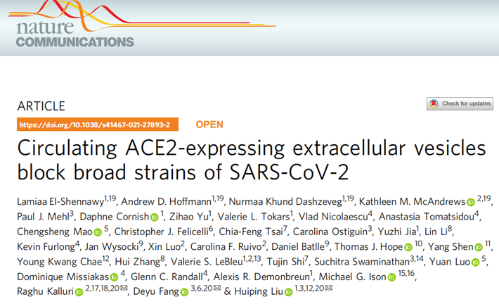 研究成果：囊泡-evACE2具有先天廣譜抗病毒機(jī)制