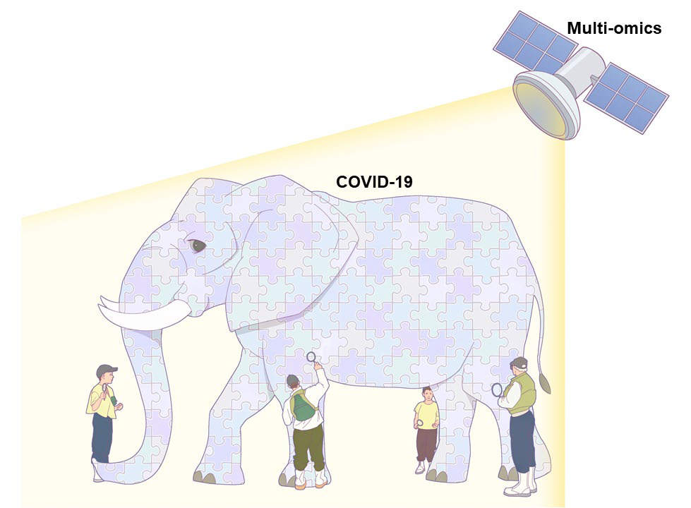 多組學能夠系統地表征COVID-19中的分子調節