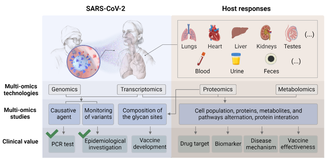 關于SARS-CoV-2和宿主反應的多組學研究