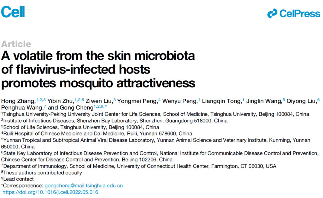 皮膚共生微生物介導的一種氣味揮發物促進黃病毒感染宿主吸引蚊蟲