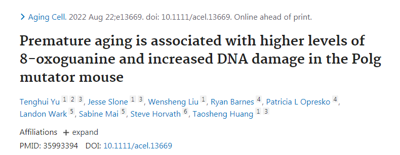 早衰與高水平的8-氧代鳥(niǎo)嘌呤和DNA損傷增加正相關(guān)
