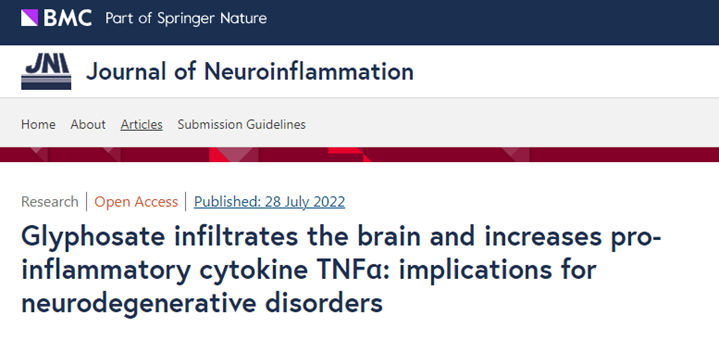 草甘膦可穿過血腦屏障并滲入大腦，提高TNF-α和可溶性Aβ的表達