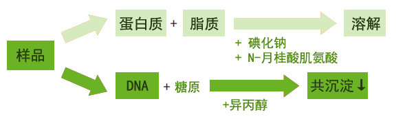 DNA提取試劑盒（碘化鈉法）檢測原理